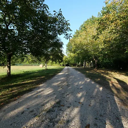 Les Du Bouillatou - Le Cedre * Bouillac (Lalinde)