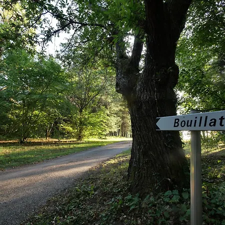 Holiday home Les Du Bouillatou - Le Cedre