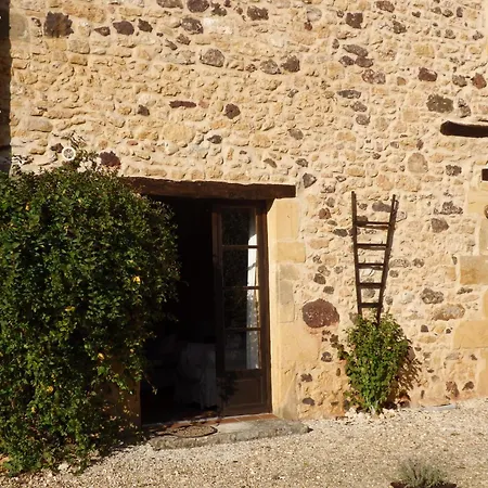 Les Du Bouillatou - Le Cedre